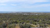 Punta Tombo
