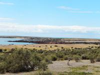 Punta Tombo