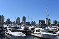 Punta del Este (6)