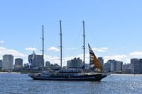 Punta del Este (8)