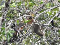 Regenwald - Ecuador