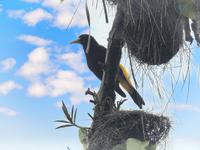 Regenwald - Ecuador