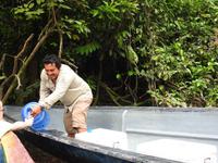 Regenwald - Ecuador