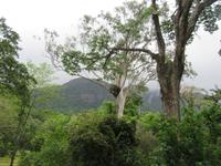 Rio de Janeiro (33)
