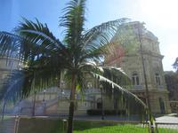 Rio de Janeiro (5)
