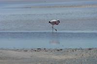 Salar de Atacama