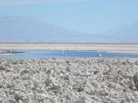 Salar de Atacama