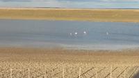 Salar de Atacama