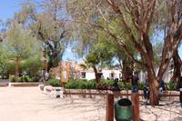 San Pedro de Atacama