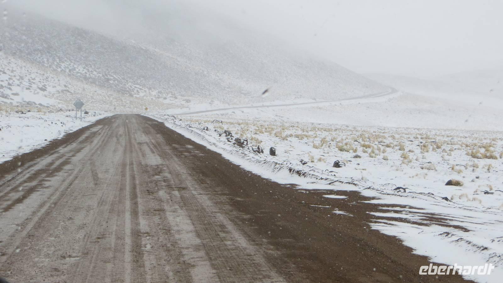 Schnee in der Atacama Wüste!