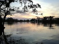 Sonnenuntergang am Lake Cuyabeno