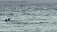 Stanley - Falklandinseln 
