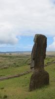 Steinbruch Rano Raraku