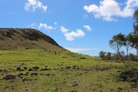 Steinbruch Rano Raraku