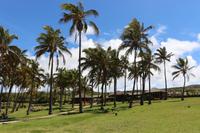 Strand von Anakena