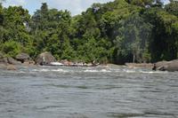 Stromschnellen suriname river