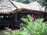 Tapir Lodge