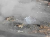 Tatio Geysire