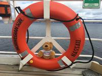 Teddy an Bord