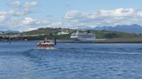 Tendern in Puerto Montt