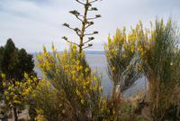 Titicacasee (3)
