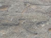 Tonariki Osterinsel