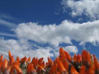 Torre del Paine