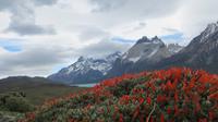 Torres del Paine
