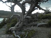 Torres del Paine