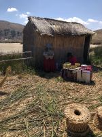 Uros