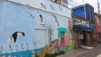 Valparaiso (16)