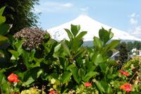 Villarica