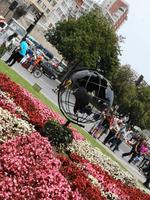 Vina Del Mar 