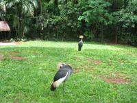 Vogelpark 