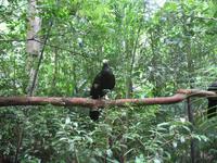 Vogelpark 