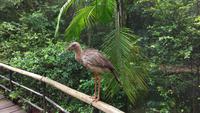 Vogelpark 