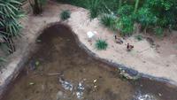Vogelpark 