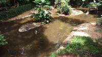 Vogelpark 