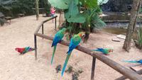 Vogelpark 