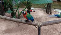 Vogelpark 