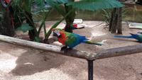 Vogelpark 