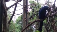 Vogelpark 