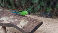 Vogelpark 