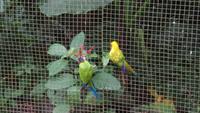 Vogelpark 