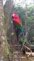 Vogelpark 