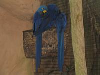 Vogelpark 