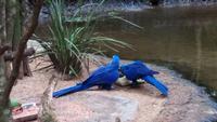 Vogelpark 
