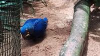 Vogelpark 