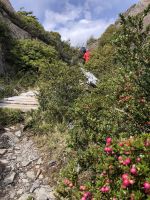 Wanderung Lazo Grey