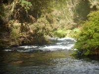 Wanderung zum Caburga-Wasserfälle 